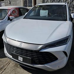 بي واي دي سونغ L DM-i